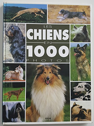 Les chiens en 100 photos